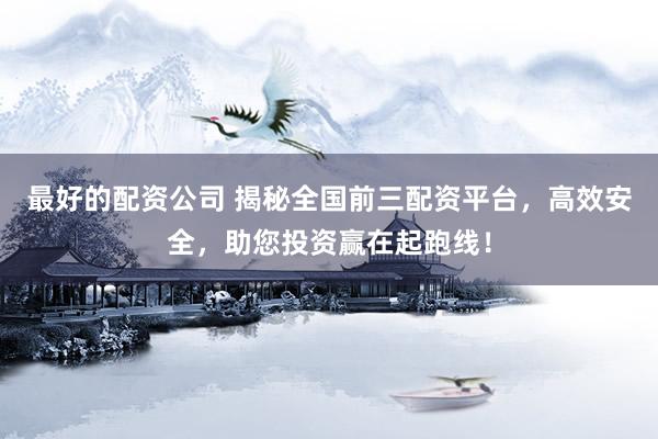 最好的配资公司 揭秘全国前三配资平台，高效安全，助您投资赢在起跑线！