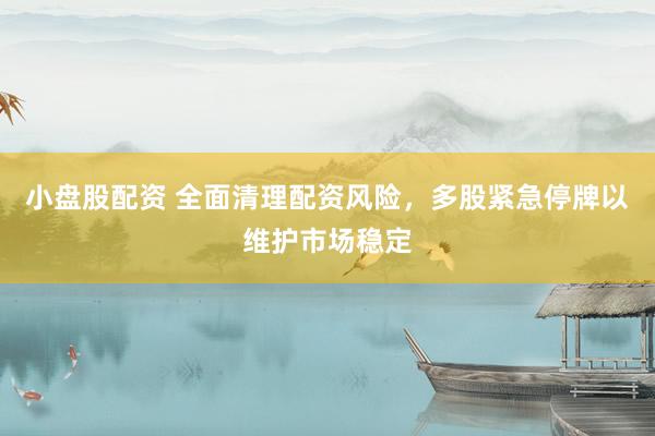 小盘股配资 全面清理配资风险，多股紧急停牌以维护市场稳定