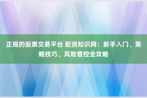 正规的股票交易平台 配资知识网：新手入门、策略技巧、风险管控全攻略