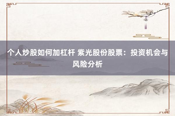 个人炒股如何加杠杆 紫光股份股票：投资机会与风险分析