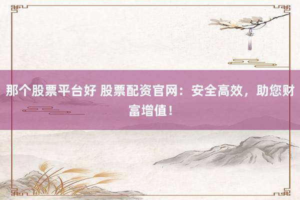 那个股票平台好 股票配资官网：安全高效，助您财富增值！