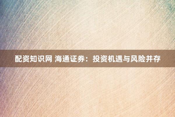 配资知识网 海通证券：投资机遇与风险并存
