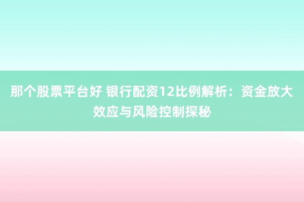 那个股票平台好 银行配资12比例解析：资金放大效应与风险控制探秘