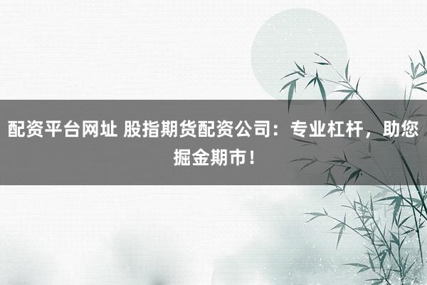 配资平台网址 股指期货配资公司：专业杠杆，助您掘金期市！