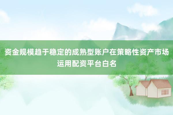 资金规模趋于稳定的成熟型账户在策略性资产市场运用配资平台白名