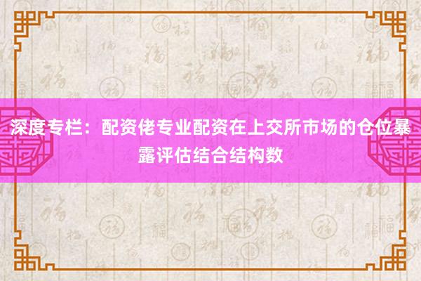 深度专栏：配资佬专业配资在上交所市场的仓位暴露评估结合结构数