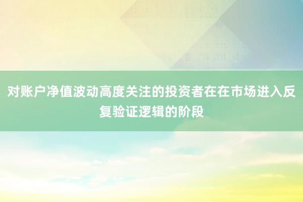 对账户净值波动高度关注的投资者在在市场进入反复验证逻辑的阶段