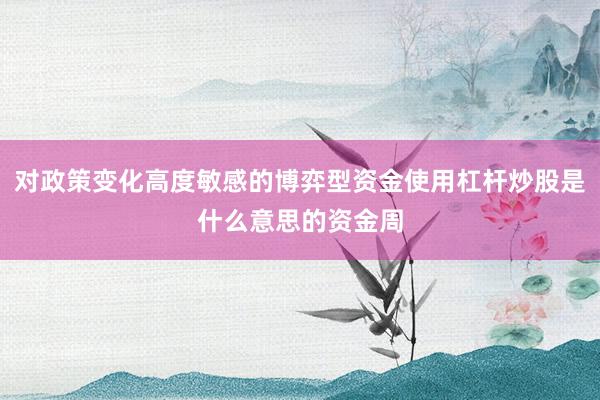 对政策变化高度敏感的博弈型资金使用杠杆炒股是什么意思的资金周