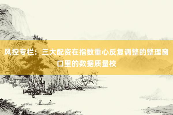 风控专栏：三大配资在指数重心反复调整的整理窗口里的数据质量校