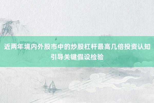 近两年境内外股市中的炒股杠杆最高几倍投资认知引导关键假设检验